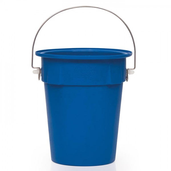 Blue bucket with handle